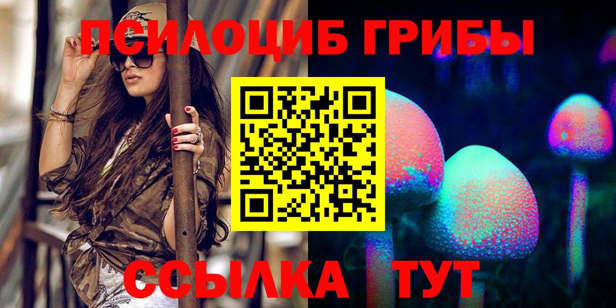 Ангарск  Псилоцибиновые грибы Cubensis  Вход с VPN 